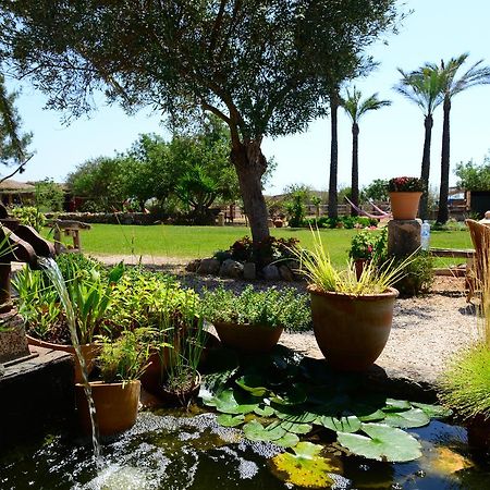 Agroturismo Finca Sant Blai Campos  Dış mekan fotoğraf