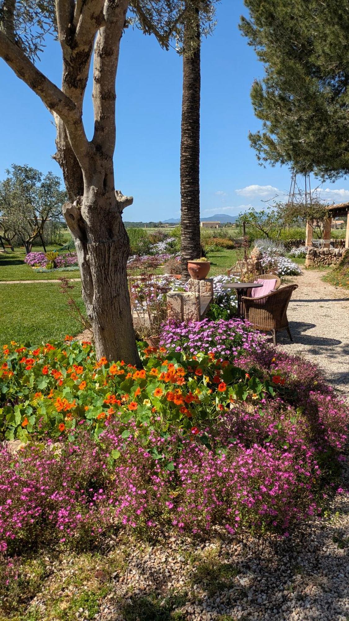Agroturismo Finca Sant Blai Campos  Dış mekan fotoğraf