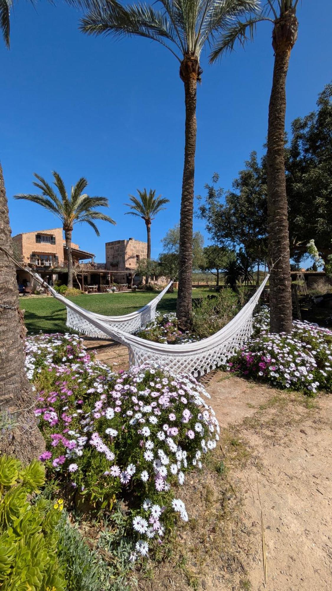 Agroturismo Finca Sant Blai Campos  Dış mekan fotoğraf