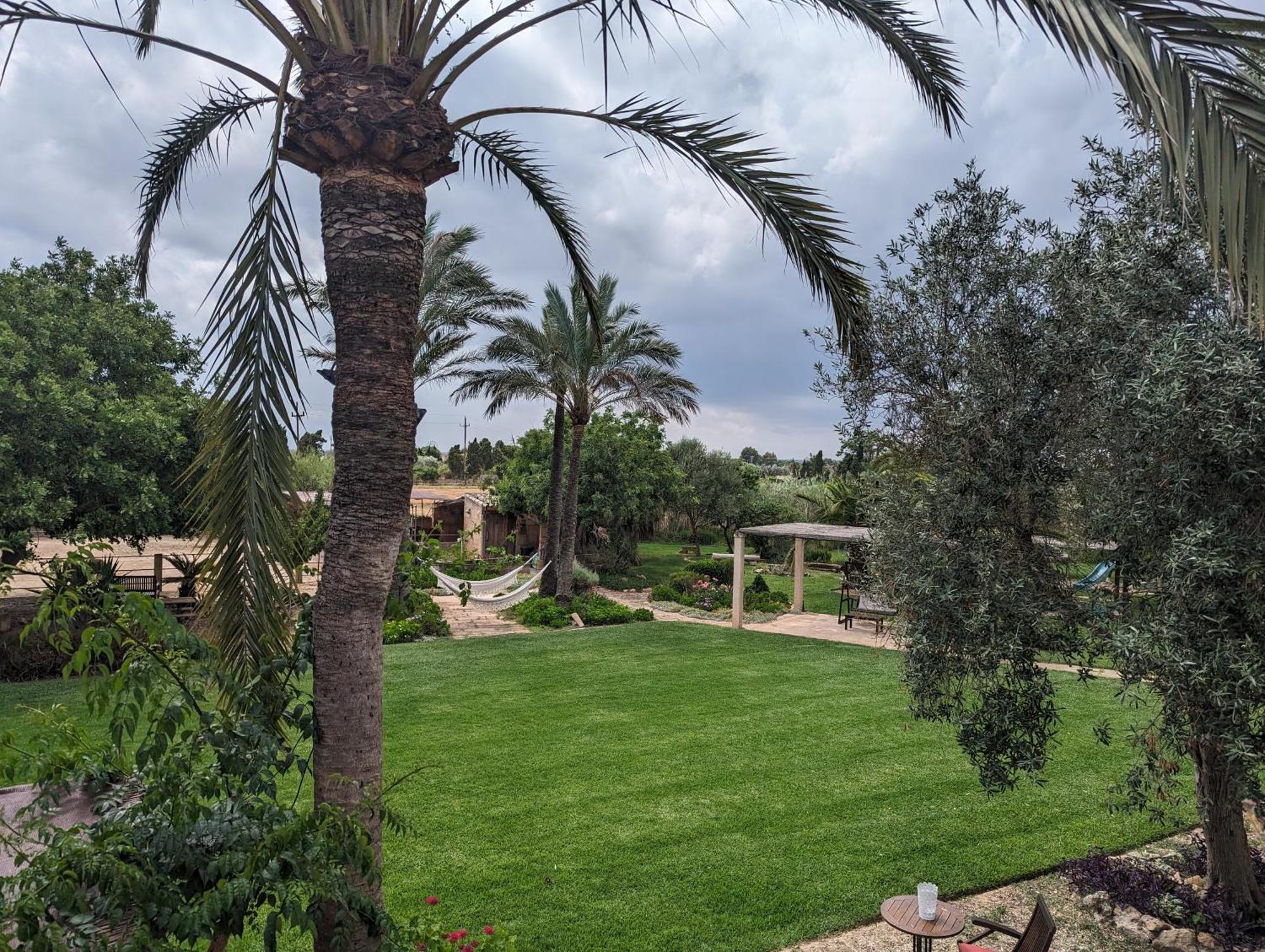 Agroturismo Finca Sant Blai Campos  Dış mekan fotoğraf