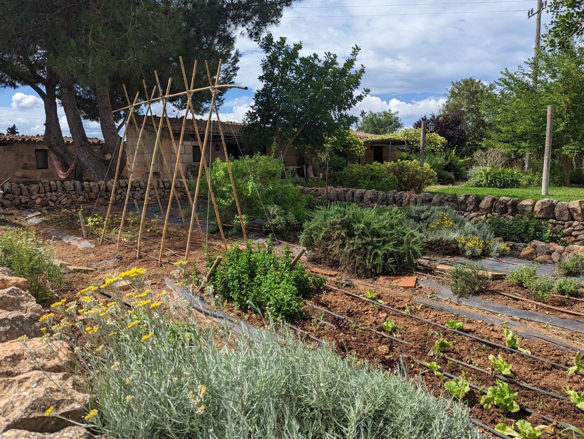 Agroturismo Finca Sant Blai Campos  Dış mekan fotoğraf
