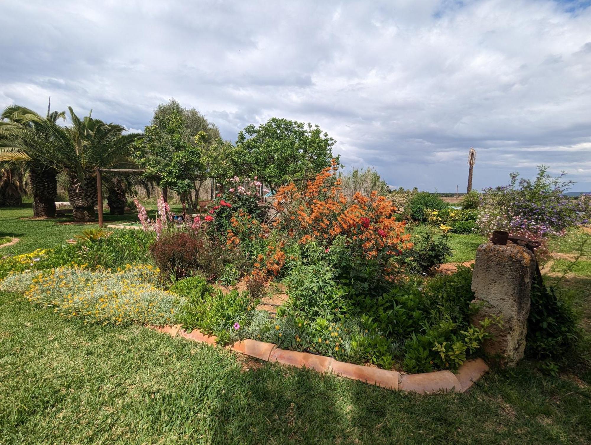 Agroturismo Finca Sant Blai Campos  Dış mekan fotoğraf