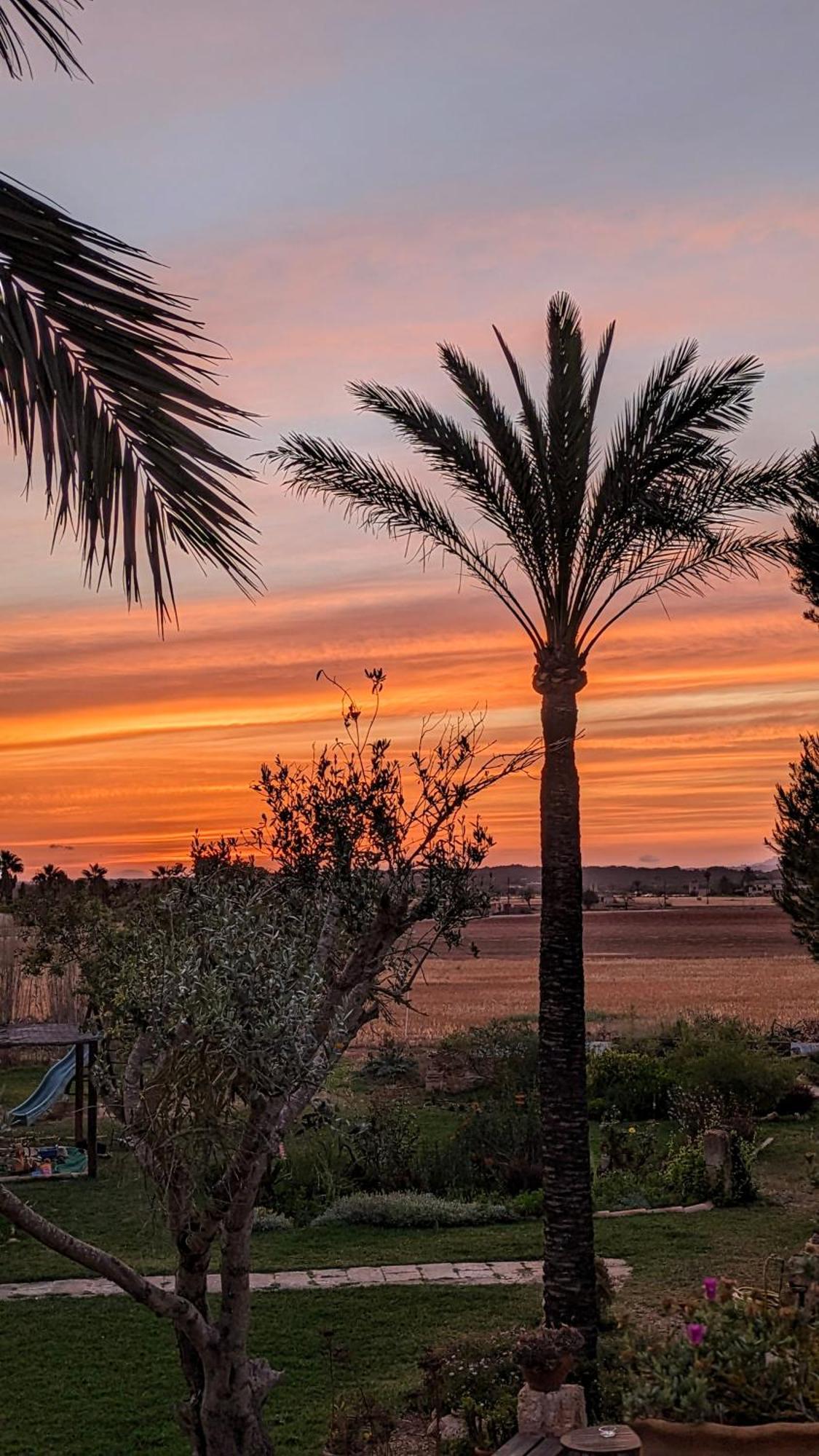 Agroturismo Finca Sant Blai Campos  Dış mekan fotoğraf