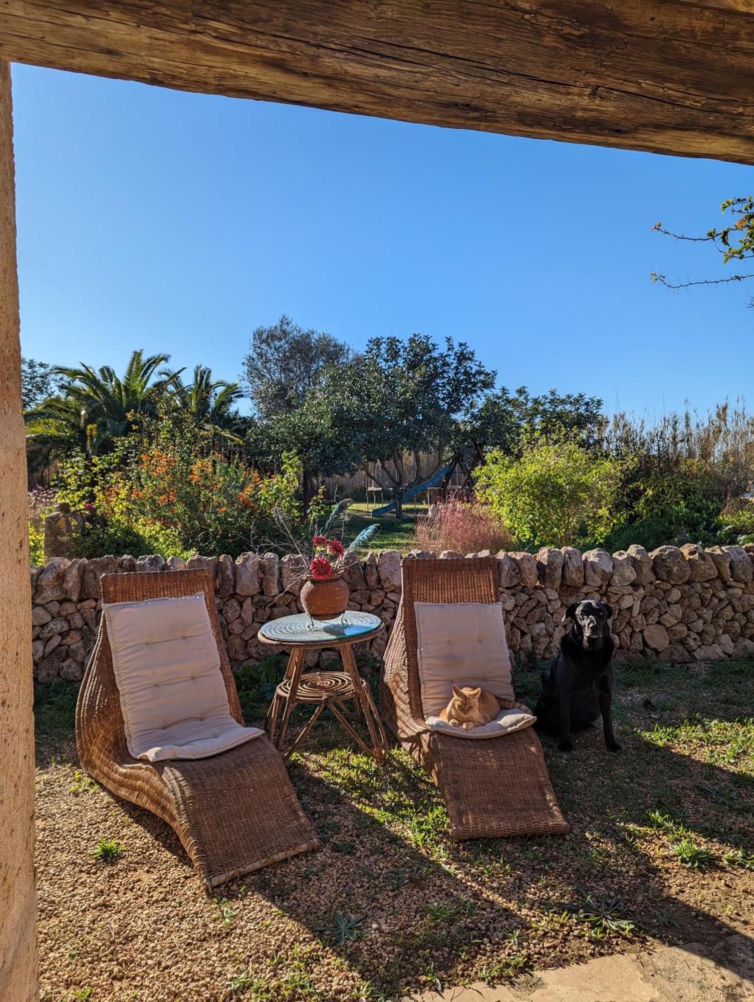 Agroturismo Finca Sant Blai Campos  Dış mekan fotoğraf